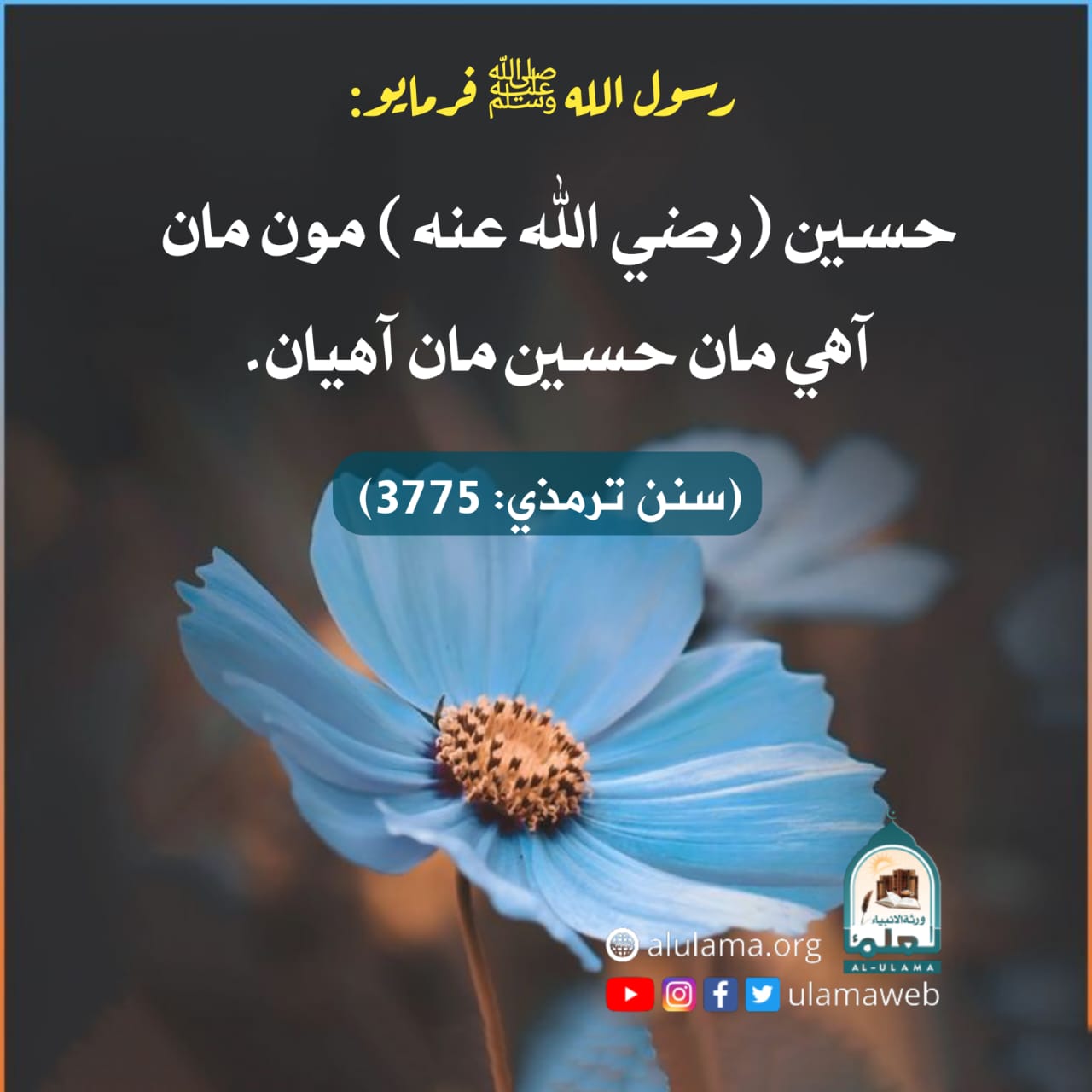 سيدنا حسين رضي الله عنه جي فضيلت