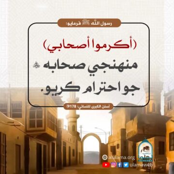 صحابه جو احترام