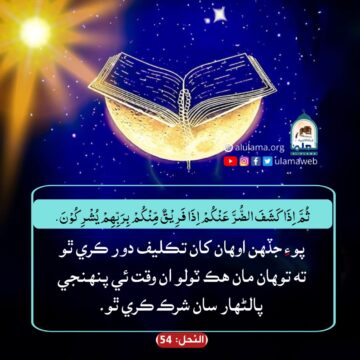 مشرڪن جي بري عادت