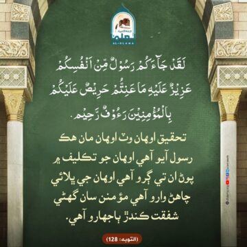ٻاجهارو نبي صلى الله عليه وسلم