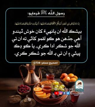 شڪر ادا ڪرڻ جي فضيلت