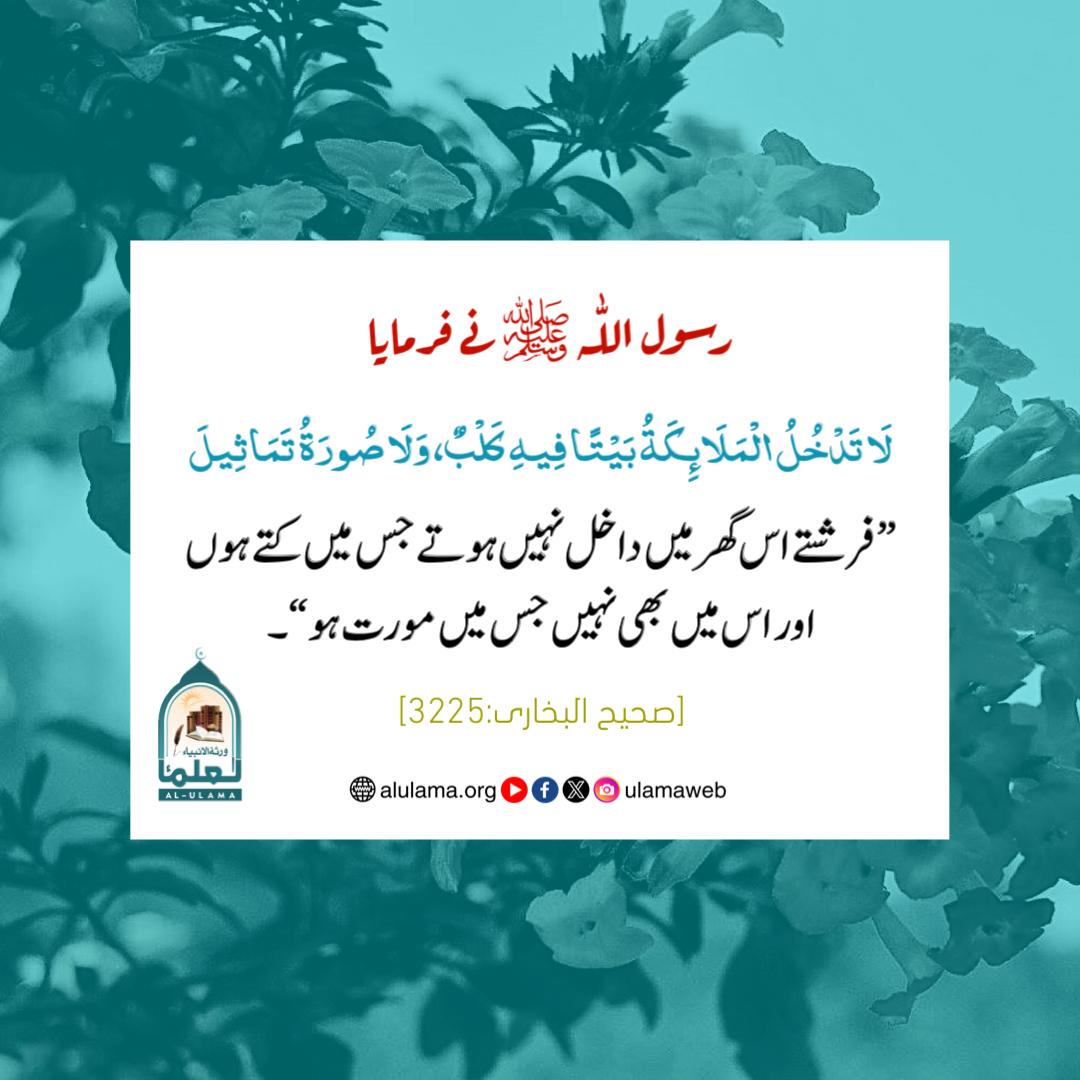 ایسے گھر میں فرشتے داخل نہیں ہوتے!