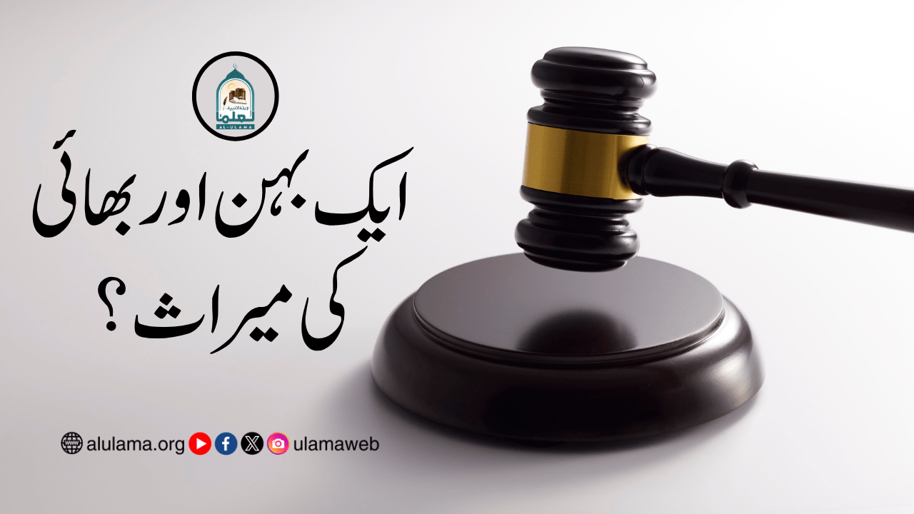 ایک بہن اور بھائی کی میراث؟