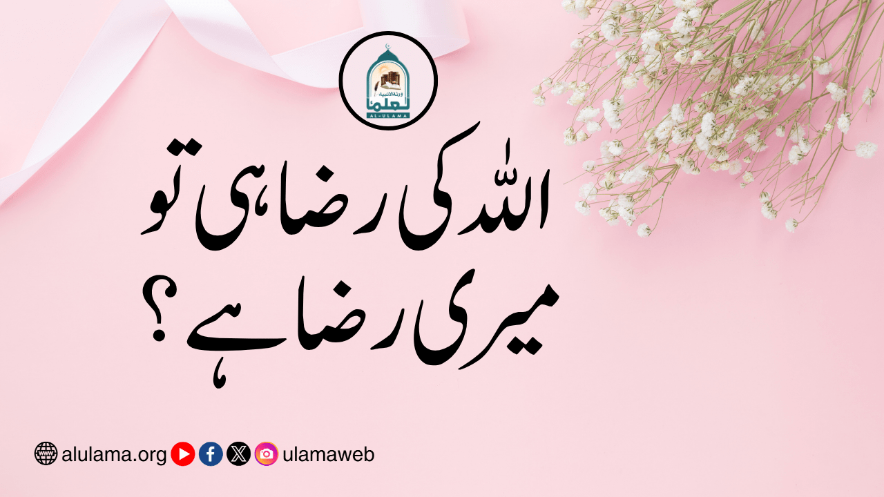 اللہ کی رضا ہی تو میری رضا ہے؟