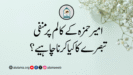 امیر حمزہ کے کالم پر منفی تبصرے کا کیا کرنا چاہیے؟