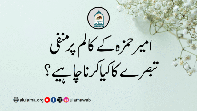 امیر حمزہ کے کالم پر منفی تبصرے کا کیا کرنا چاہیے؟