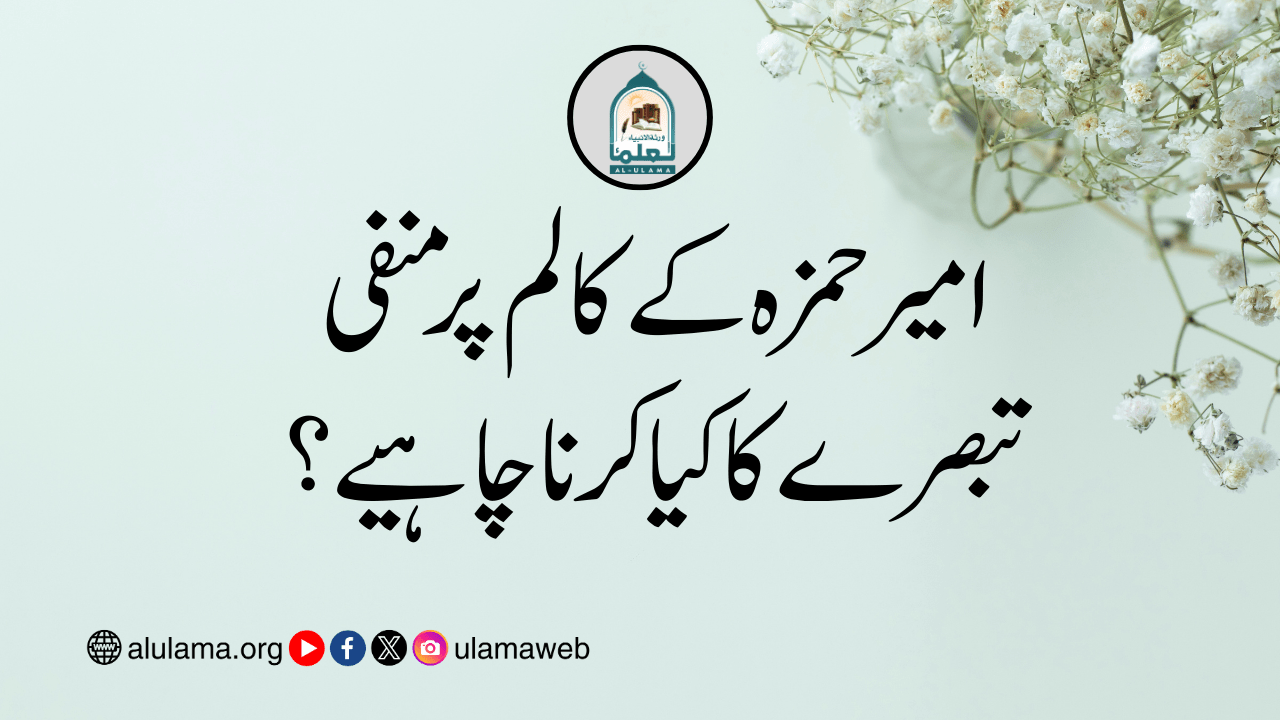 امیر حمزہ کے کالم پر منفی تبصرے کا کیا کرنا چاہیے؟