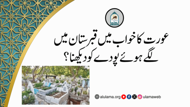 عورت کا خواب میں قبرستان میں لگے ہوئے پودے کو دیکھنا؟