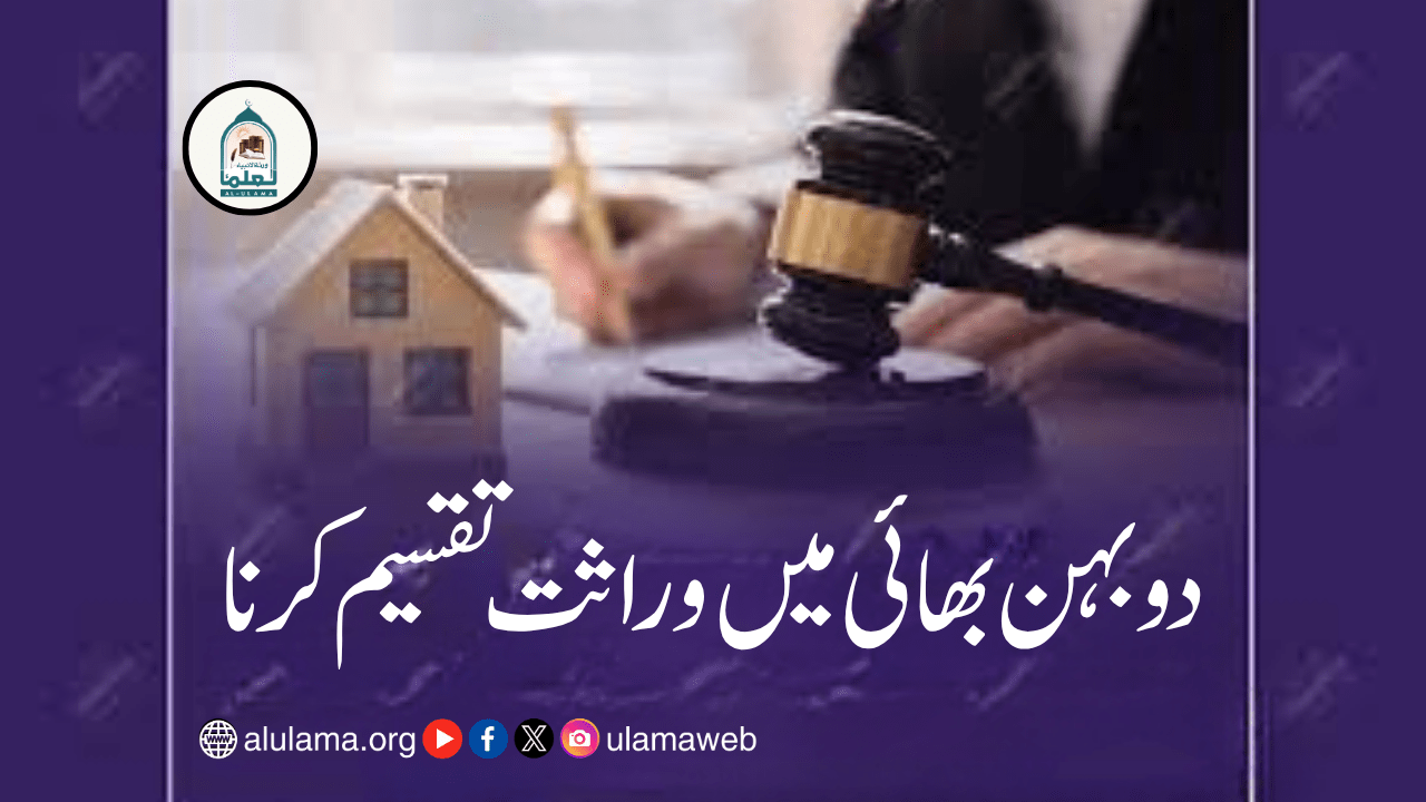 دو بہن بھائی میں وراثت تقسیم کرنا