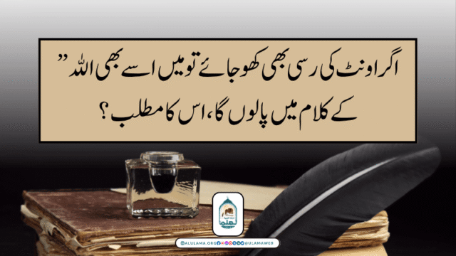 ” اگر اونٹ کی رسی بھی کھو جائے تو میں اسے بھی الله کے کلام میں پالوں گا، اس کا مطلب؟