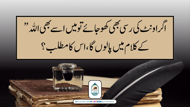 ” اگر اونٹ کی رسی بھی کھو جائے تو میں اسے بھی الله کے کلام میں پالوں گا، اس کا مطلب؟