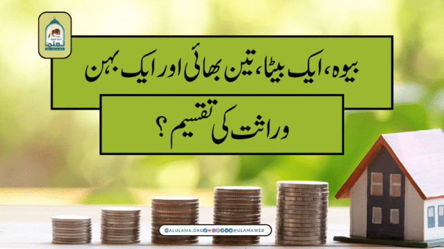 بیوہ، ایک بیٹا، تین بھائی اور ایک بہن وراثت کی تقسیم؟