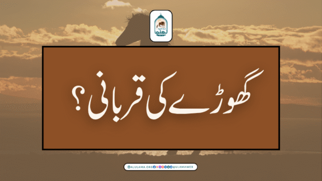 گھوڑے کی قربانی؟