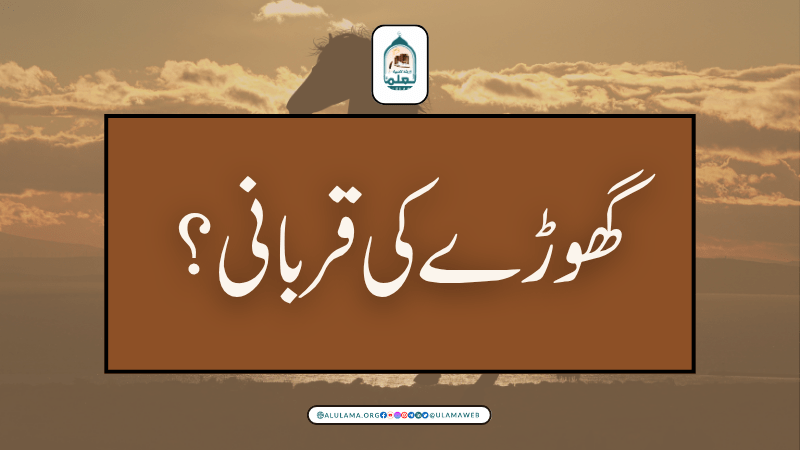 گھوڑے کی قربانی؟