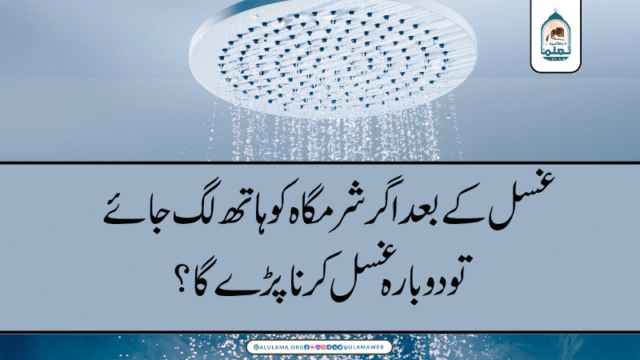 غسل کے بعد اگر شرمگاہ کو ہاتھ لگ جائے تو دوبارہ غسل کرنا پڑے گا؟