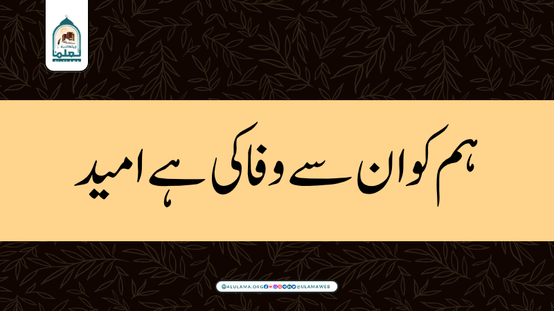 ہم کو ان سے وفا کی ہے امید