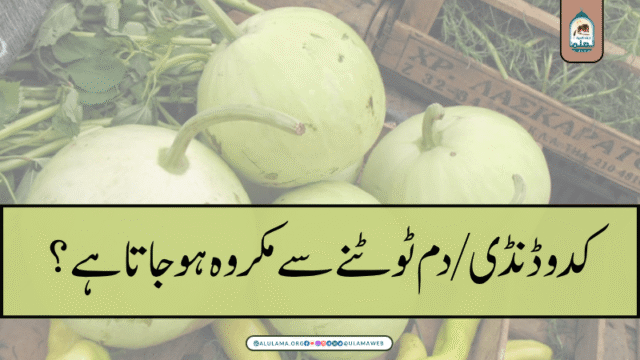کدو ڈنڈی/دم ٹوٹنے سے مکروہ ہو جاتا ہے؟