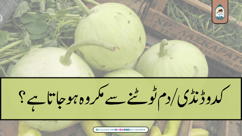 کدو ڈنڈی/دم ٹوٹنے سے مکروہ ہو جاتا ہے؟
