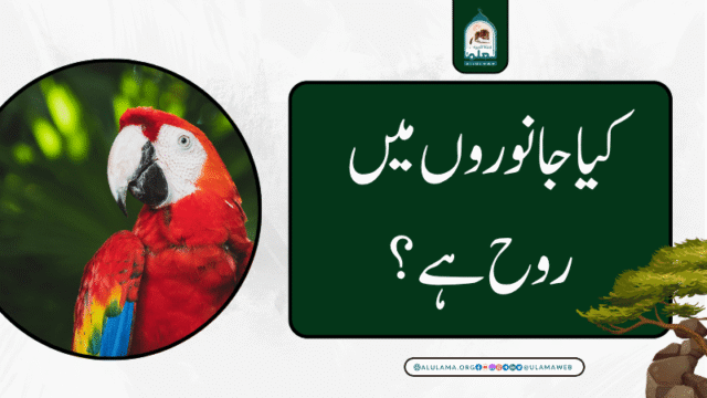 کیا جانوروں میں روح ہے؟