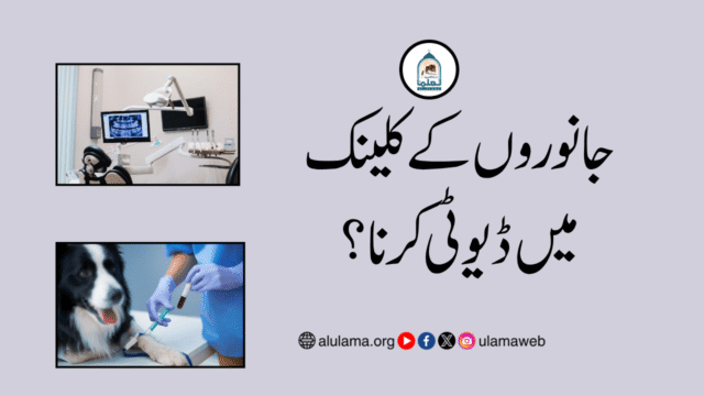 جانوروں کے کلینک میں ڈیوٹی کرنا؟