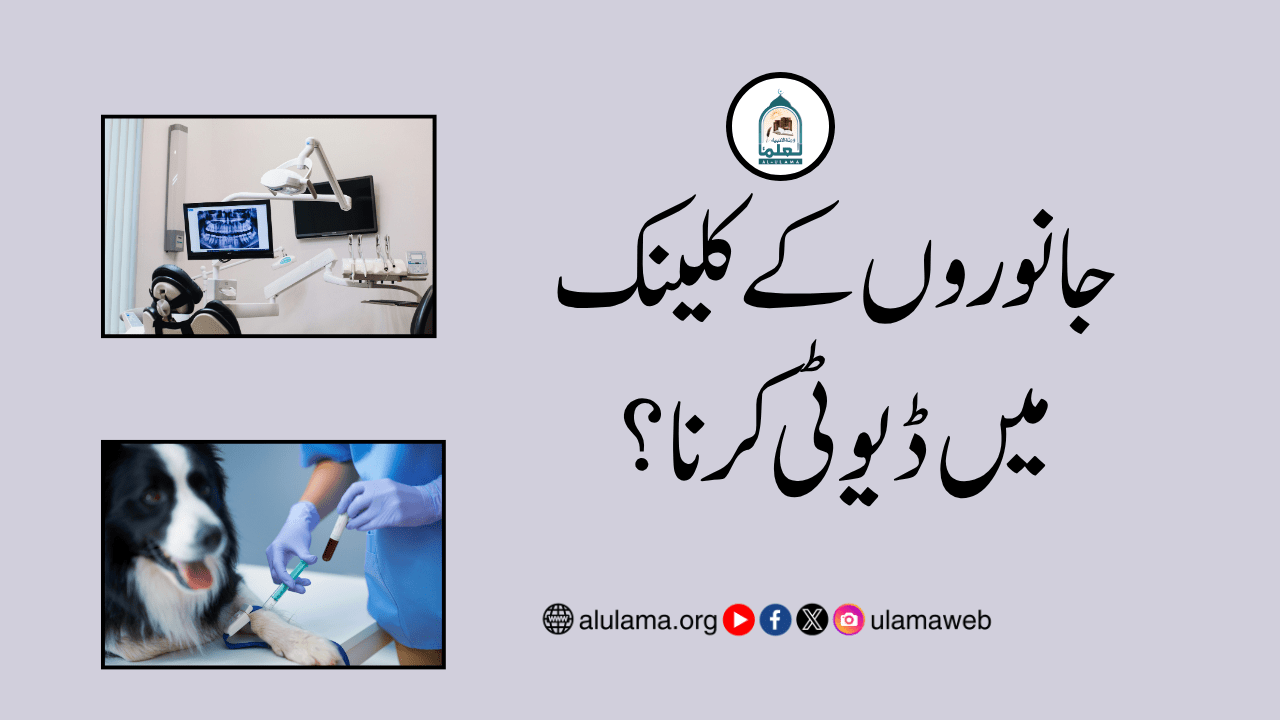جانوروں کے کلینک میں ڈیوٹی کرنا؟