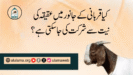 کیا قربانی کے جانور میں عقیقہ کی نیت سے شرکت کی جا سکتی ہے؟
