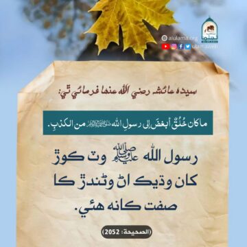 ڪوڙ جي قباحت