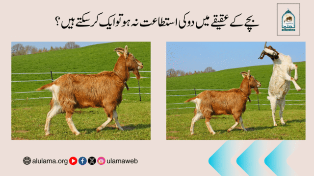 بچے کے عقیقے میں دو کی استطاعت نہ ہو تو ایک کرسکتے ہیں؟