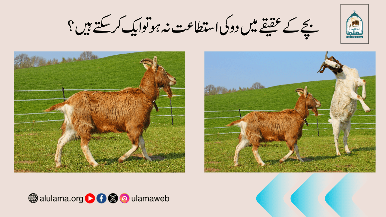 بچے کے عقیقے میں دو کی استطاعت نہ ہو تو ایک کرسکتے ہیں؟
