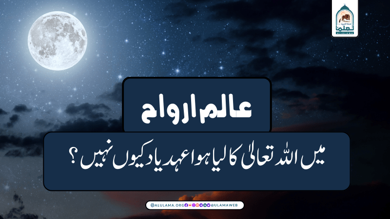 عالم ارواح میں اللہ تعالیٰ کا لیا ہوا عہد یاد کیوں نہیں؟