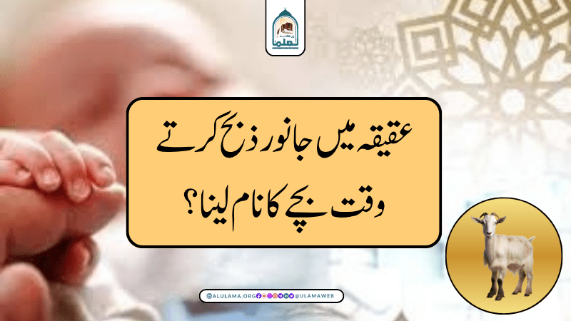 عقیقہ میں جانور ذبح کرتے وقت بچے کا نام لینا؟