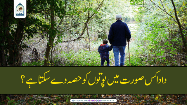 دادا کس صورت میں پوتوں کو حصہ دے سکتا ہے؟