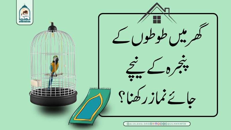 گھر میں طوطوں کے پنجرہ کے نیچے جائے نماز رکھنا؟