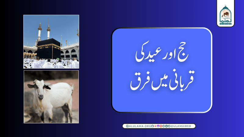 حج اور عید کی قربانی میں فرق