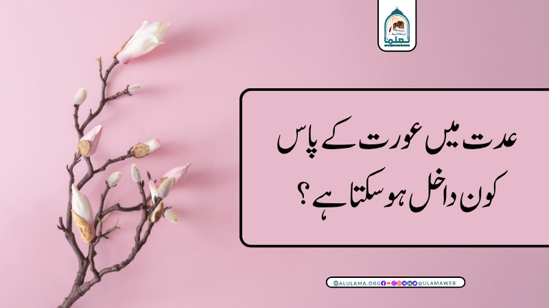 عدت میں عورت کے پاس کون داخل ہو سکتا ہے؟