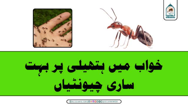 خواب میں ہتھیلی پر بہت ساری چیونٹیاں