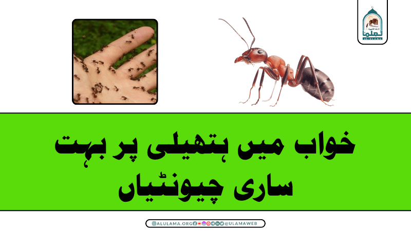 خواب میں ہتھیلی پر بہت ساری چیونٹیاں