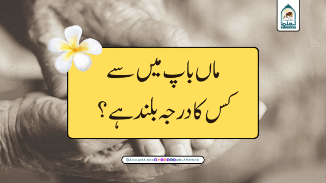 ماں باپ میں سے کس کا درجہ بلند ہے؟