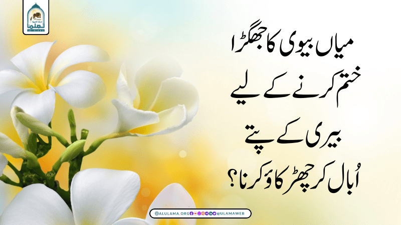 میاں بیوی کا جھگڑا ختم کرنے کے لیے بیری کے پتے اُبال کر چھڑکاؤ کرنا؟