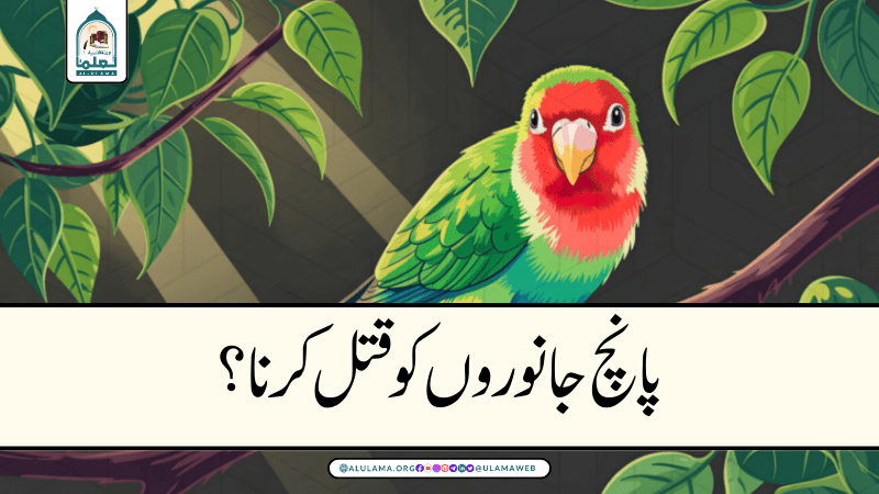 پانچ جانوروں کو قتل کرنا؟