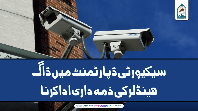 سیکیورٹی ڈپارٹمنٹ میں ڈاگ ہینڈلر کی ذمہ داری ادا کرنا