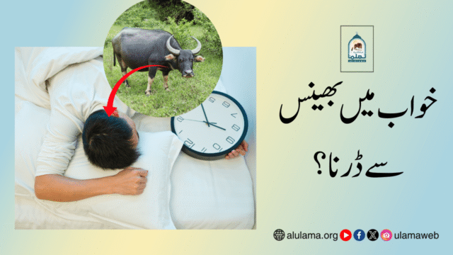 خواب میں بھینس سے ڈرنا؟