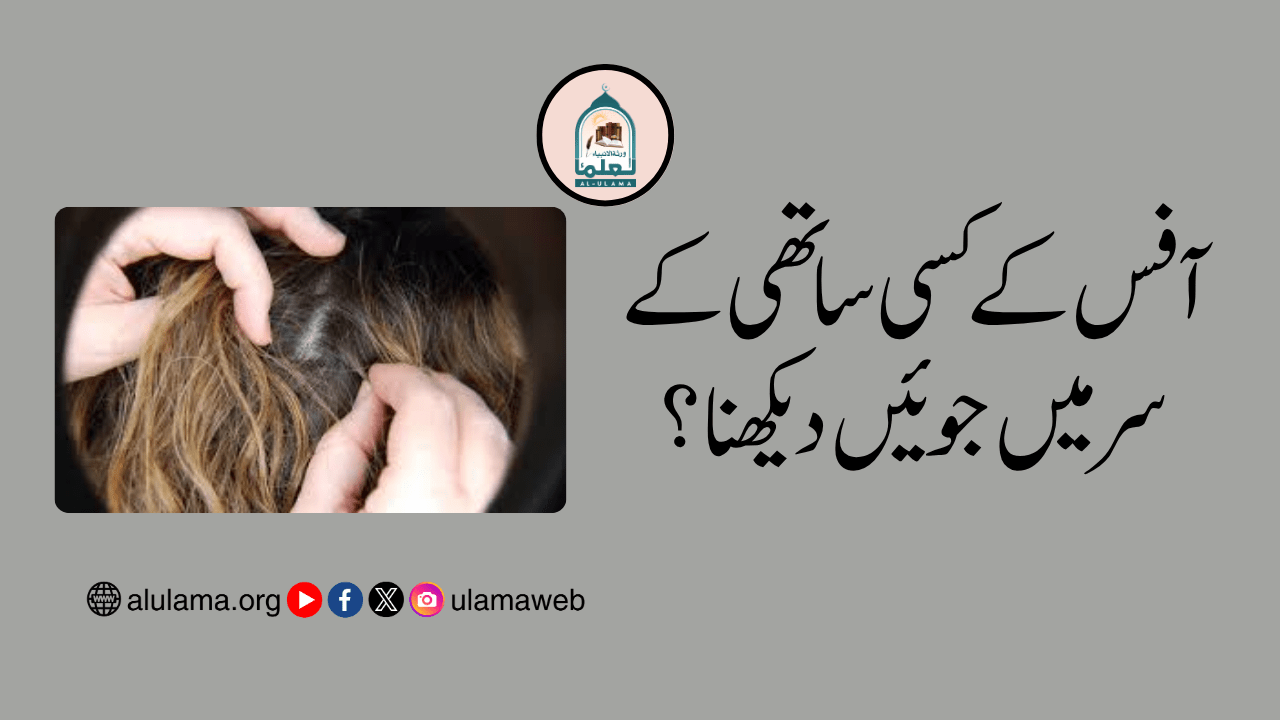 آفس کے کسی ساتھی کے سر میں جوئیں دیکھنا؟