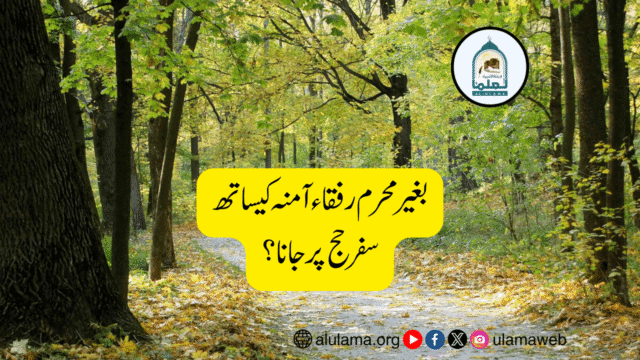 بغیر محرم رفقاء آمنہ کیساتھ سفر حج پر جانا؟