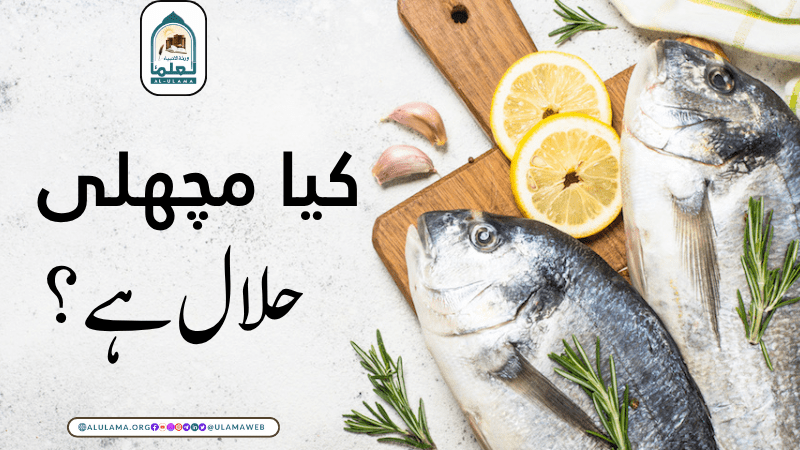 کیا مچھلی حلال ہے؟