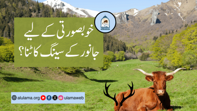 خوبصورتی کے لیے جانور کے سینگ کاٹنا؟