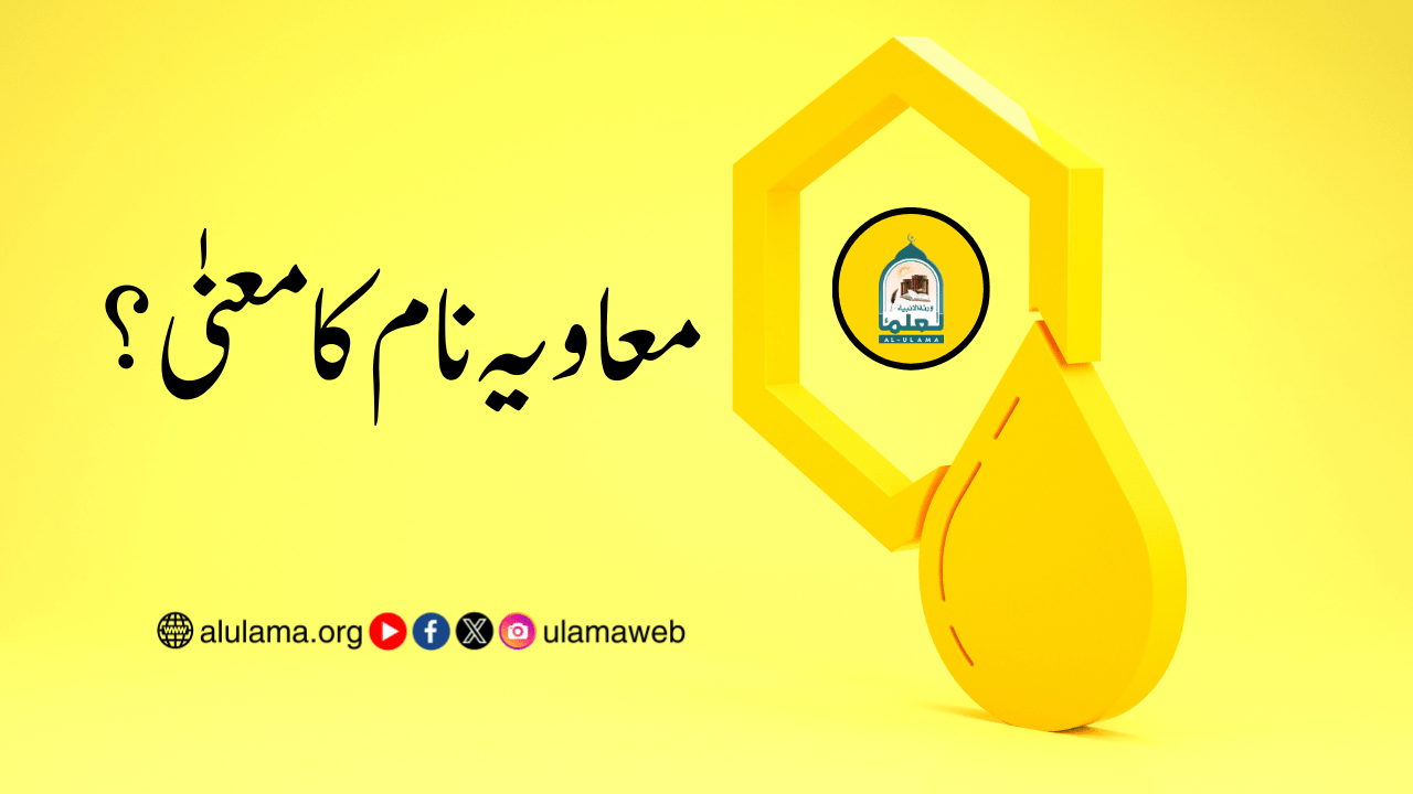 معاویہ نام کا معنیٰ؟