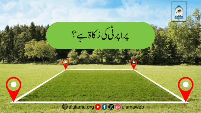 پراپرٹی کی زکاۃ ہے؟