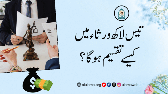 تیس لاکھ ورثاء میں کیسے تقسیم ہو گا؟