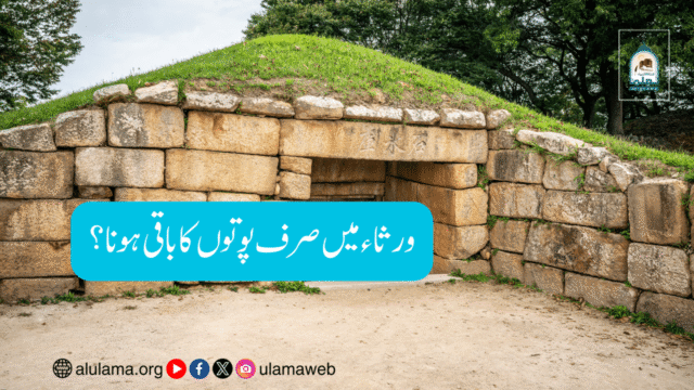ورثاء میں صرف پوتوں کا باقی ہونا؟